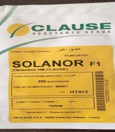Solanor F1 Bell Pepper