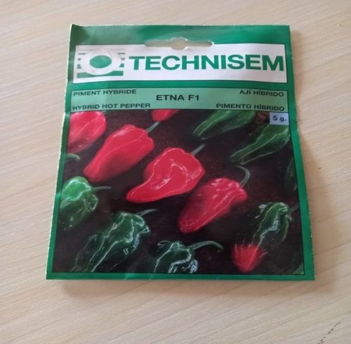 Etna Hot pepper seeds