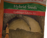 Gloria F1 Cabbage