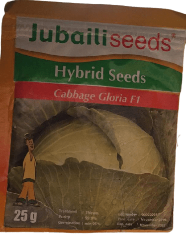 Gloria F1 Cabbage Seeds