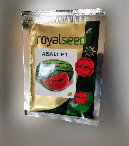 Asali F1 Hybrid Watermelon Seeds (Royal Seeds Brand)