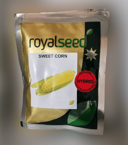 Hybrix F1 Sweetcorn Seeds (Royal Seeds)