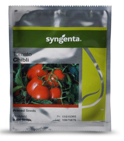 Tomato Chibli Seeds