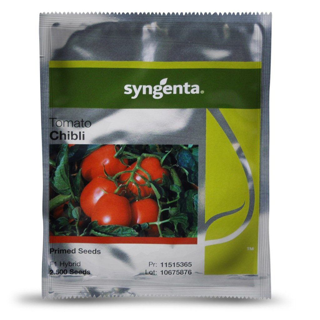 Tomato Chibli Seeds