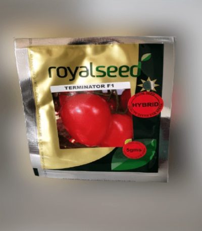 Terminator F1 Tomato Seeds