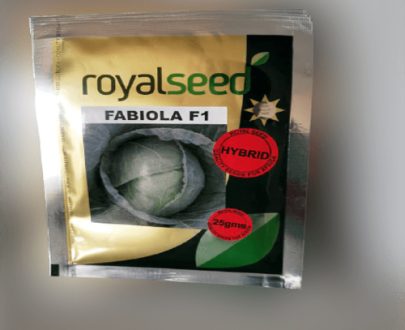 Fabiola F1 Cabbage Seeds