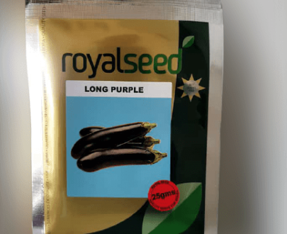 Long Purple Eggplant Seeds (Royal Brand Seeds)
