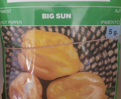 Big Sun Hot Pepper Seeds (Technisem Brand)