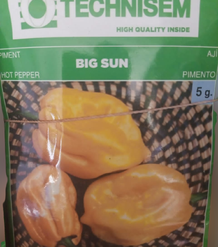 Big Sun Hot Pepper Seeds (Technisem Brand)
