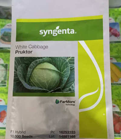 White Cabbage Pruktor