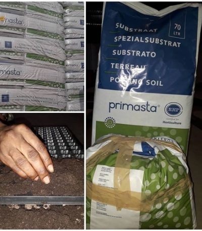 Potting Soil