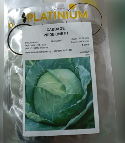 Pride One Cabbage Seeds