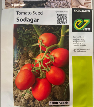 Sodagar F1 Tomato 1000 Seeds (Enza Zaden)