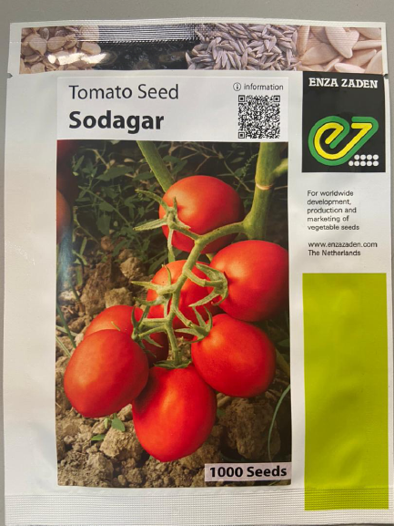 Sodagar F1 Tomato 1000 Seeds (Enza Zaden)