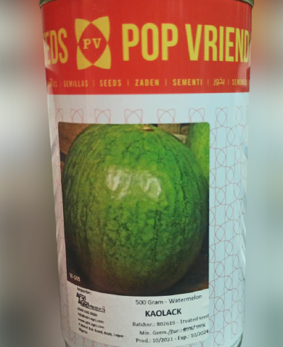 Kaolack Watermelon Seeds | Pop Vriend