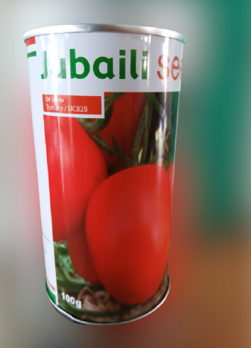UC82B Tomato Seeds (Jubaili Seeds)