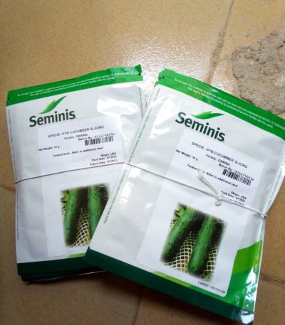 Darina F1 (Hybrid Cucumber seeds) (10g)