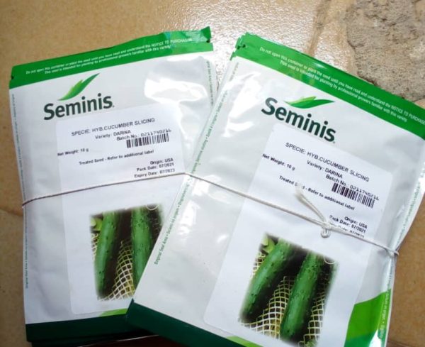 Darina F1 (Hybrid Cucumber seeds) (10g)