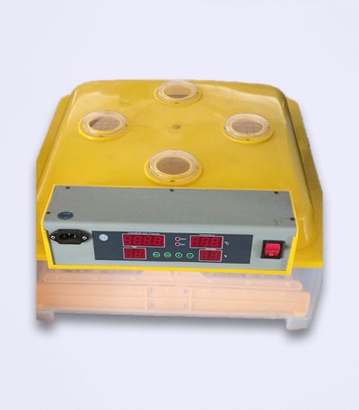 48 Eggs Capacity Incubator