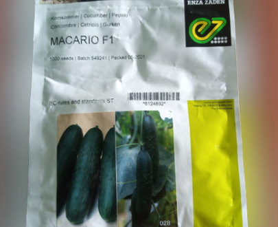 Macario F1 Slicer Cucumber(1000 Seeds)