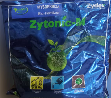 zytonic_booster mychorizza