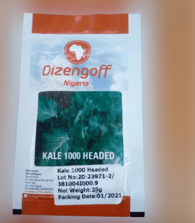 Kale 1000 Headed Seeds