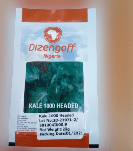 Kale 1000 Headed Seeds