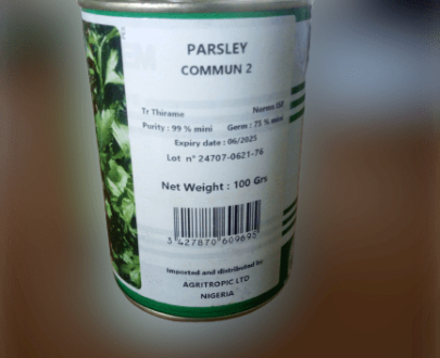 Parsley Commun 2 Seeds | 100g