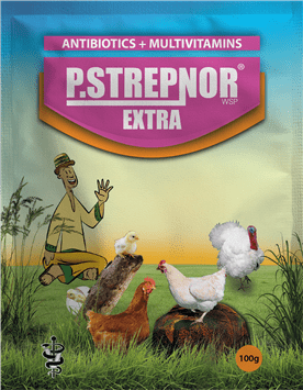P-strepnor Kills bacteria and other germs