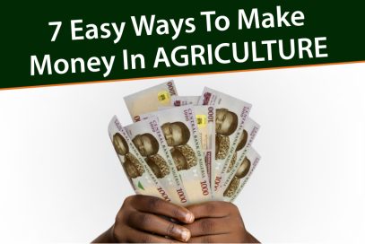 7 Easy Ways To Make Money In Agriculture In Nigeria