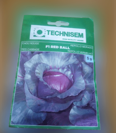 Red ball F1 Cabbage Seeds -5g