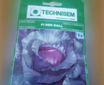 Red ball F1 Cabbage Seeds -5g