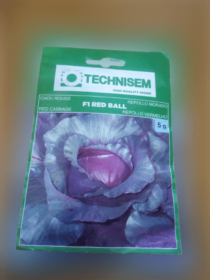 Red ball F1 Cabbage Seeds -5g