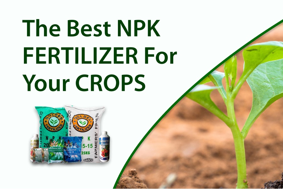 The Best NPK Fertilizer For Your Crops