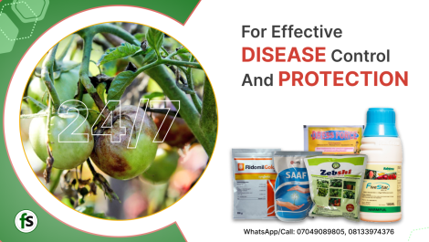 Excellence in disease control and protection for your vegetables