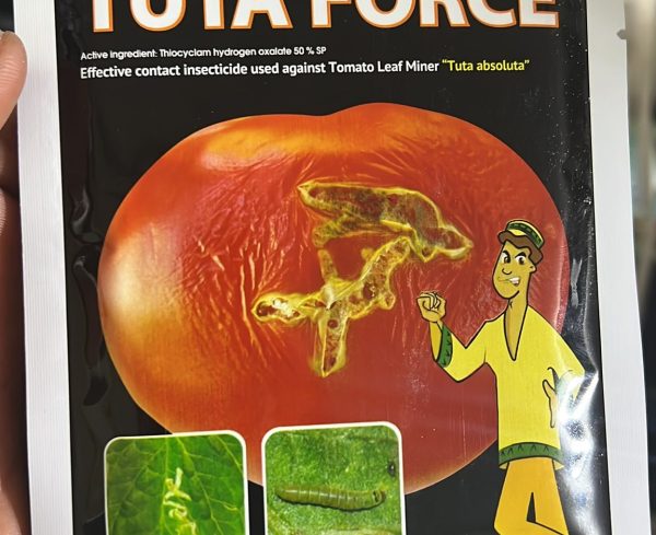 Tutaforce