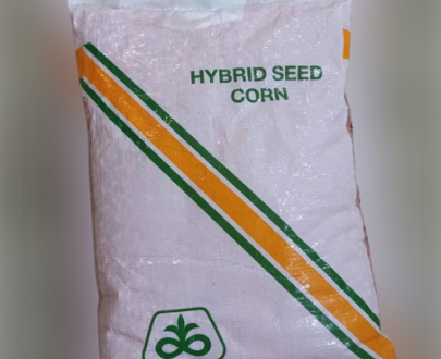 Pioneer Hybrid Corn Seeds (4.7kg)