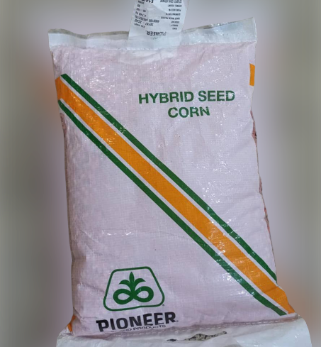 Pioneer Hybrid Corn Seeds (4.7kg)