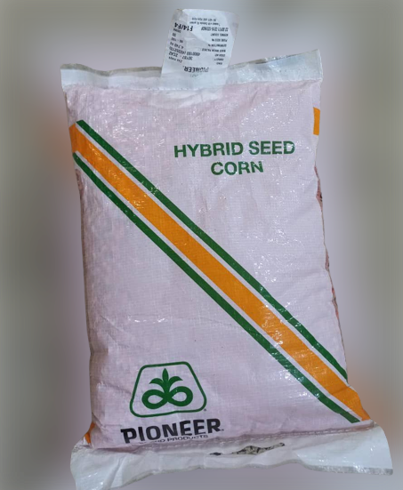 Pioneer Hybrid Corn Seeds (4.7kg)
