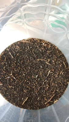 Amaranthus Seeds - (Per Cup)