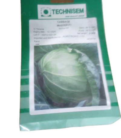 Master F1 Cabbage Seeds