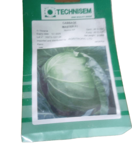 Master F1 Cabbage Seeds