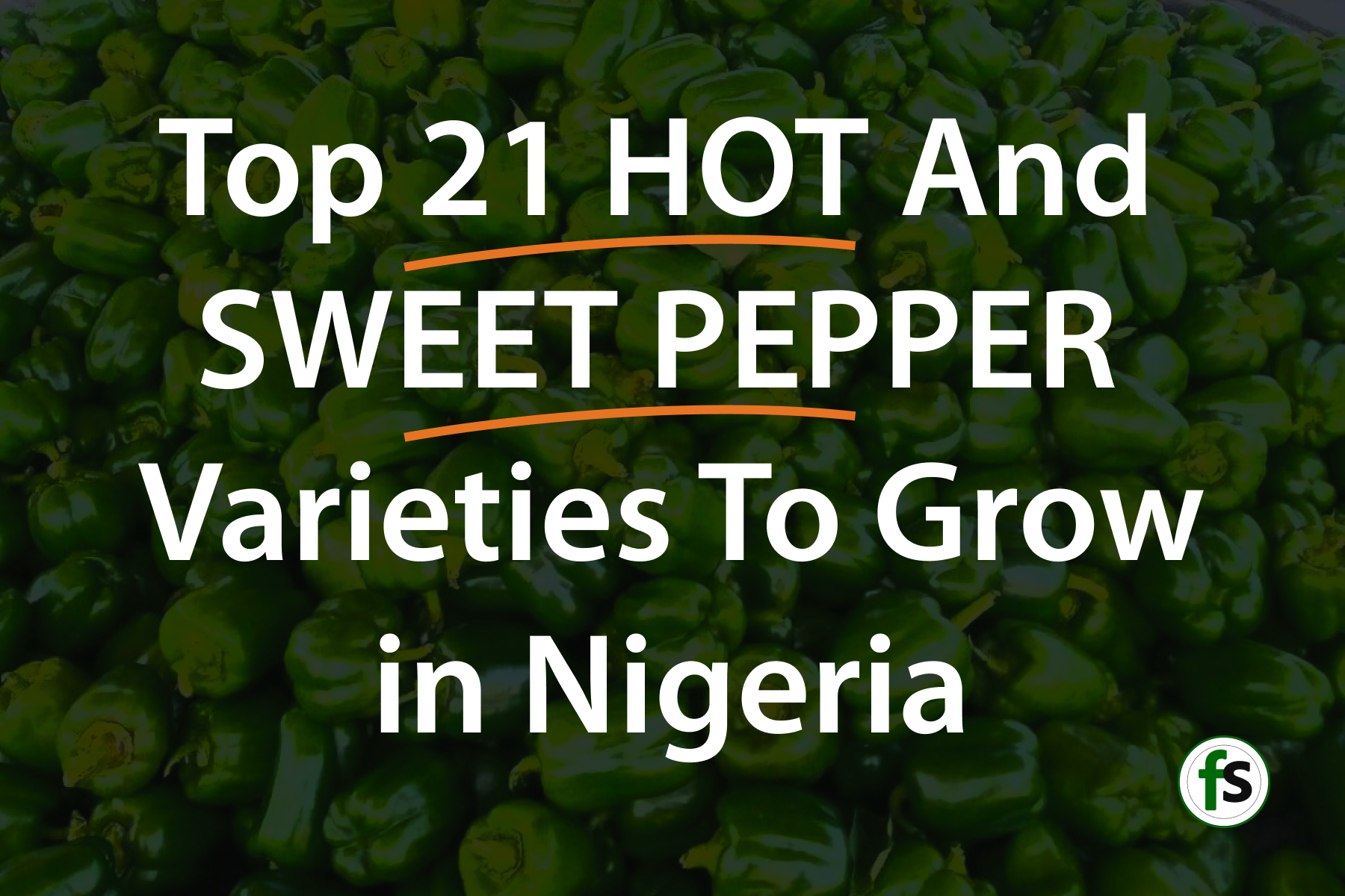 Top 21 Hot And Sweet Pepper Varieties To Grow In Nigeria
