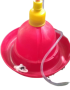 Poultry bell drinkers