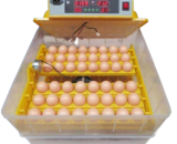 Industrial Egg Incubator (96 eggs)