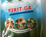 Fix-it GA Insecticide - 100g