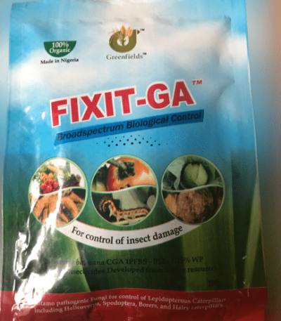 Fix-it GA Insecticide - 100g