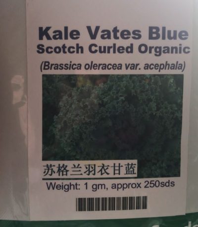 Curly Kale Vates blue- 250 seeds
