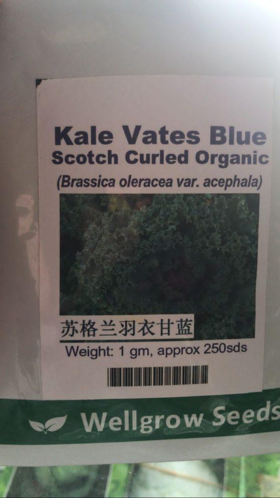 Curly Kale Vates blue- 250 seeds