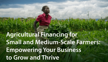Agricultural Financing for Small and Medium-Scale Farmers (1)